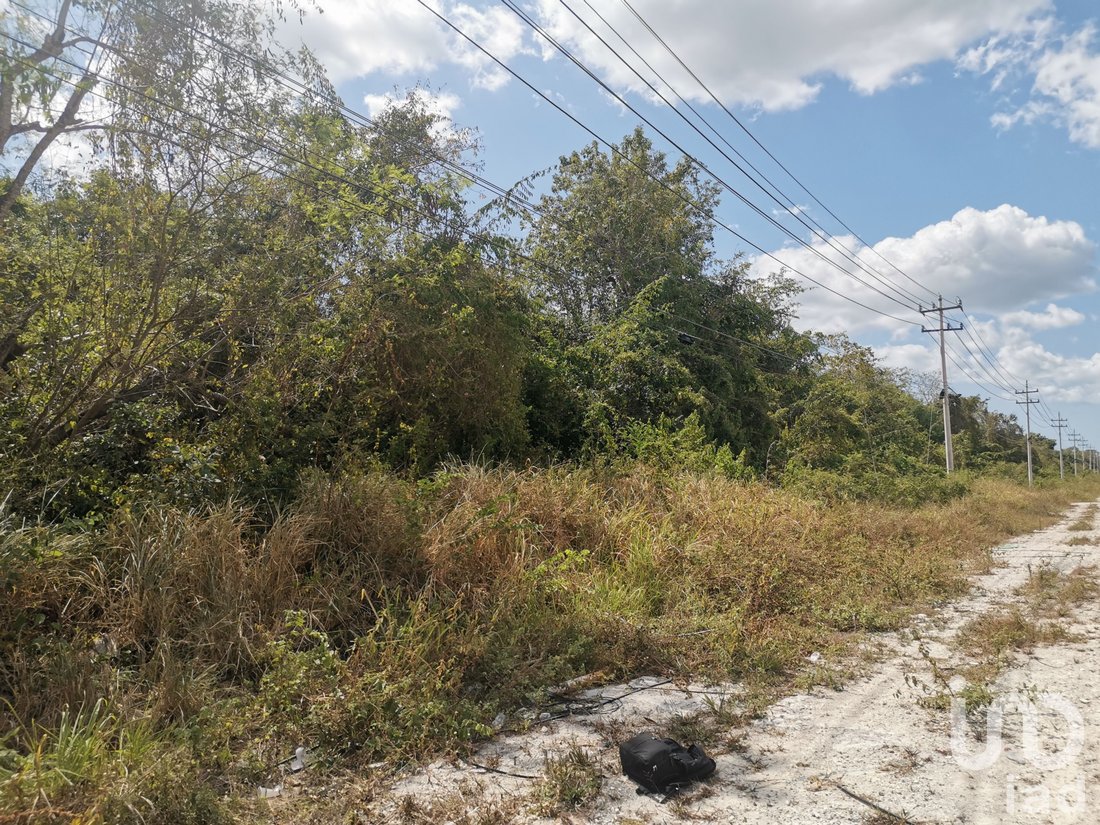 Land in La Isla, Quintana Roo, Mexico 4 - 15837641