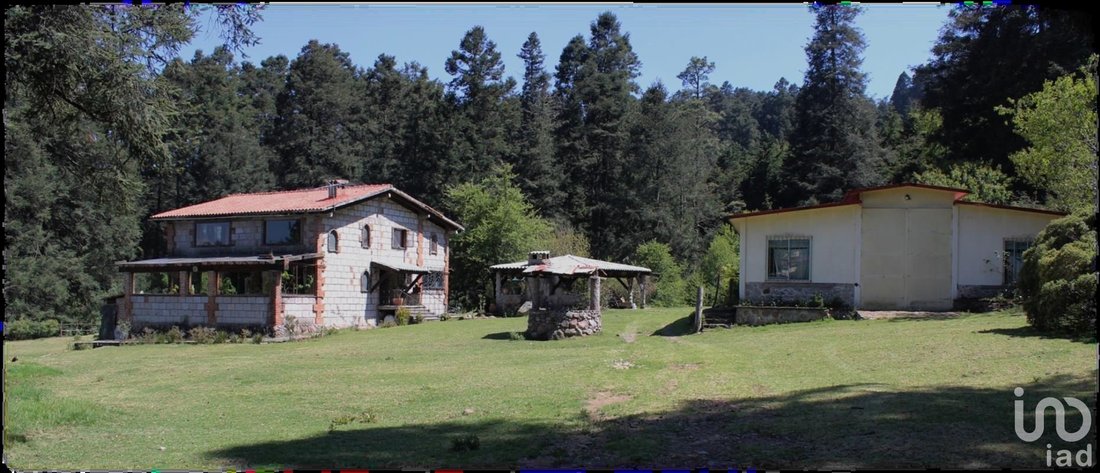 Azienda agricola in San Miguel Ajusco, Messico 1 - 15837419