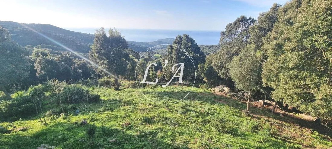 Land in Coti-Chiavari, Corsica, France 5 - 14938188