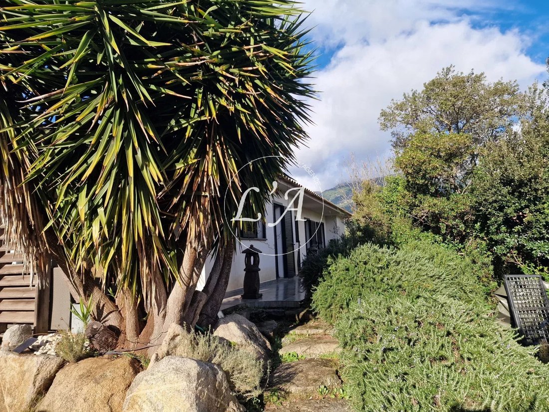 Villa in Sotta, Corsica, France 3 - 15087226