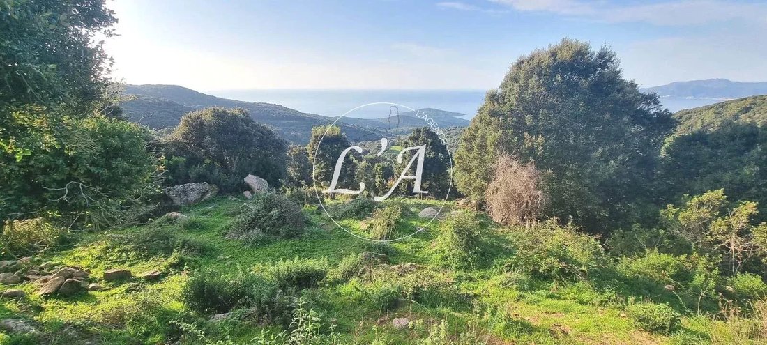 Land in Coti-Chiavari, Corsica, France 4 - 14938188