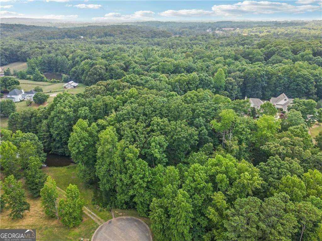 House in Canton, Georgia, United States 2 - 15838149