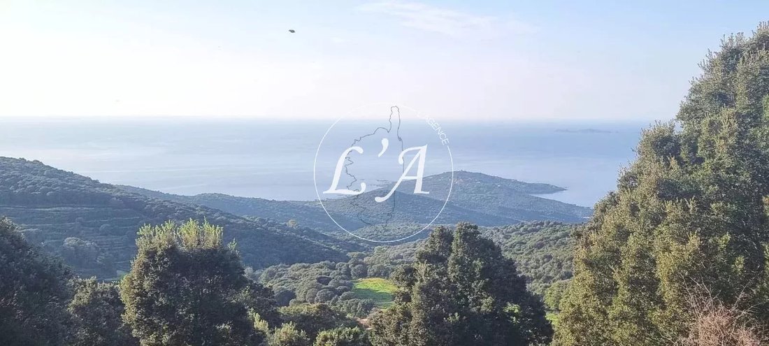 Land in Coti-Chiavari, Corsica, France 3 - 14938188