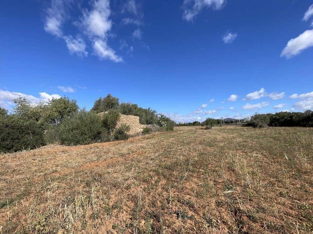 Land in Llucmajor, Balearic Islands, Spain 5 - 15837392