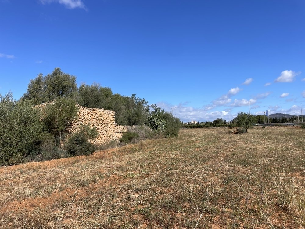 Land in Llucmajor, Balearic Islands, Spain 4 - 15837392