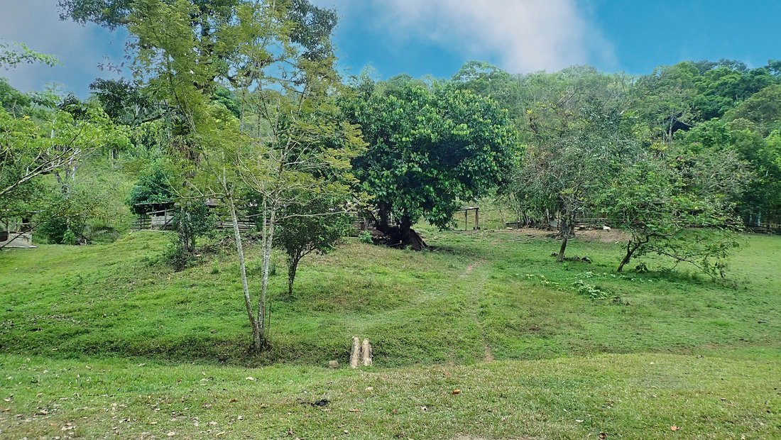 Farm Ranch in Tierras Morenas, Vásquez de Coronado, Costa Rica 2 - 15842123