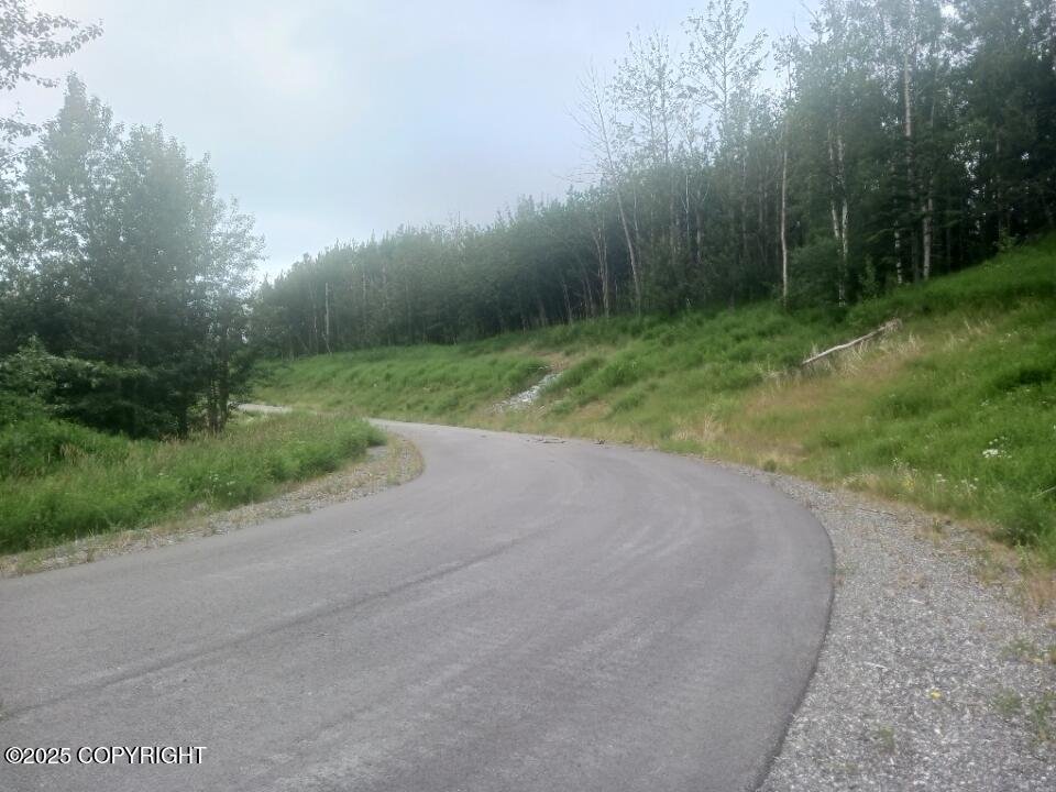 Land in Palmer, Alaska, United States 4 - 15839974