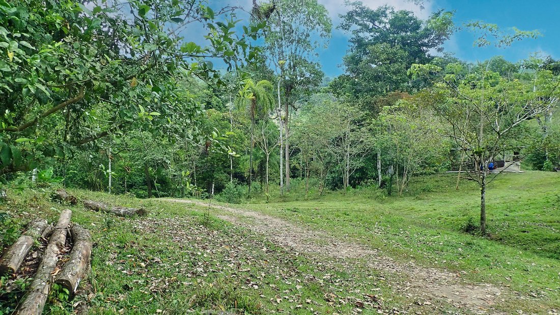 Farm Ranch in Tierras Morenas, Vásquez de Coronado, Costa Rica 3 - 15842123