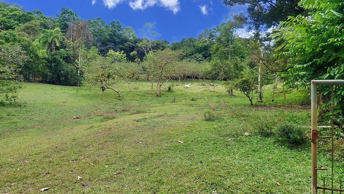 Farm Ranch in Tierras Morenas, Vásquez de Coronado, Costa Rica 1 - 15842123