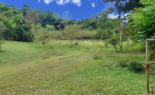 Farm Ranch in Tierras Morenas, Vásquez de Coronado, Costa Rica 1