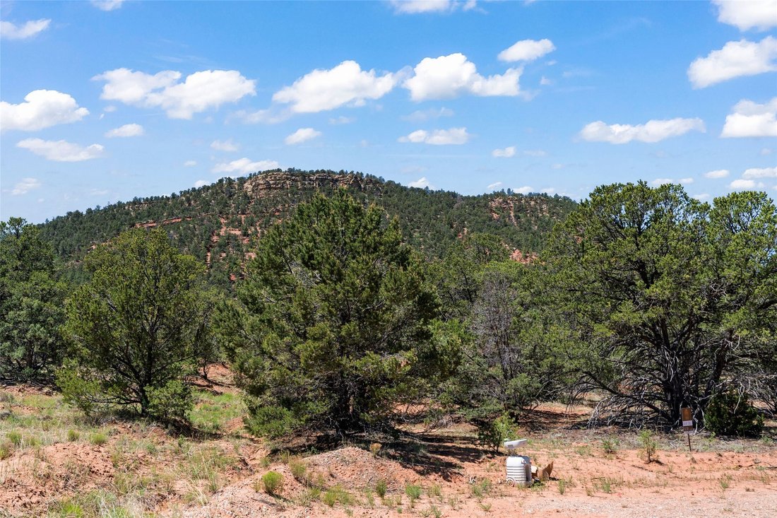Land in Pecos, New Mexico, United States 5 - 15842881