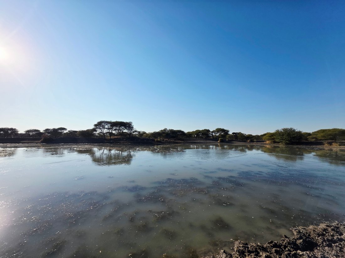 Farm Ranch in Roedtan, Limpopo, South Africa 2 - 15840548