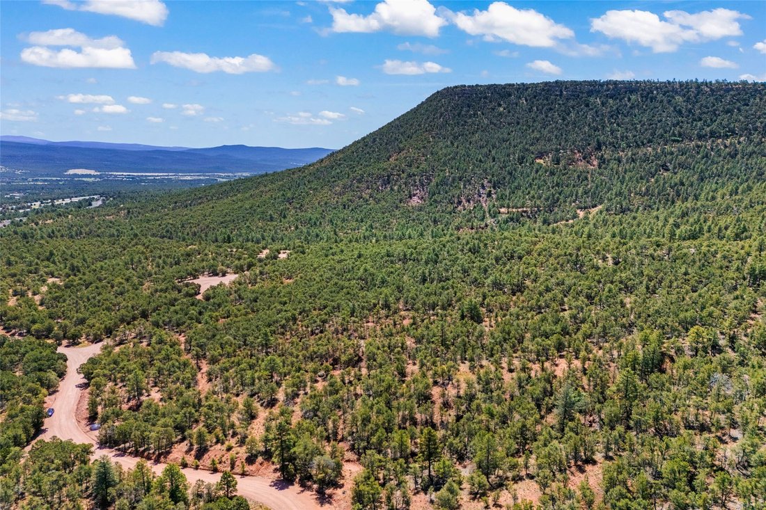 Land in Pecos, New Mexico, United States 3 - 15842881