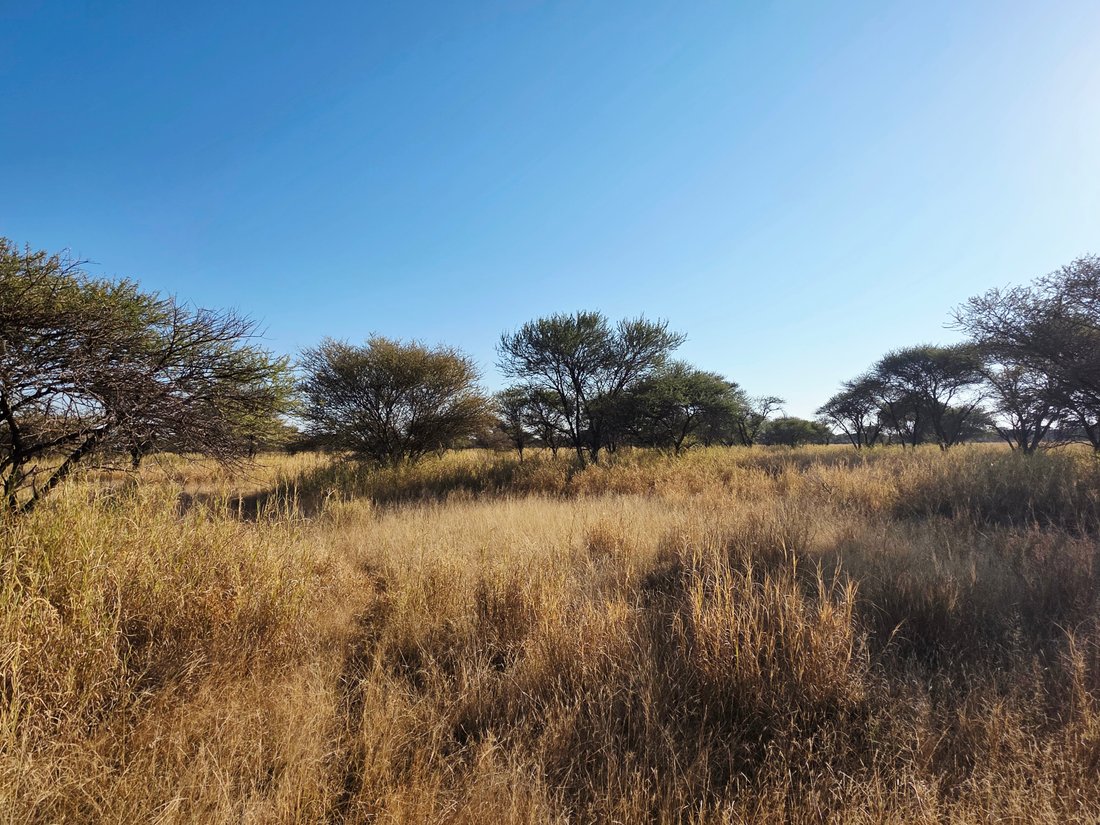 Farm Ranch in Roedtan, Limpopo, South Africa 5 - 15840548