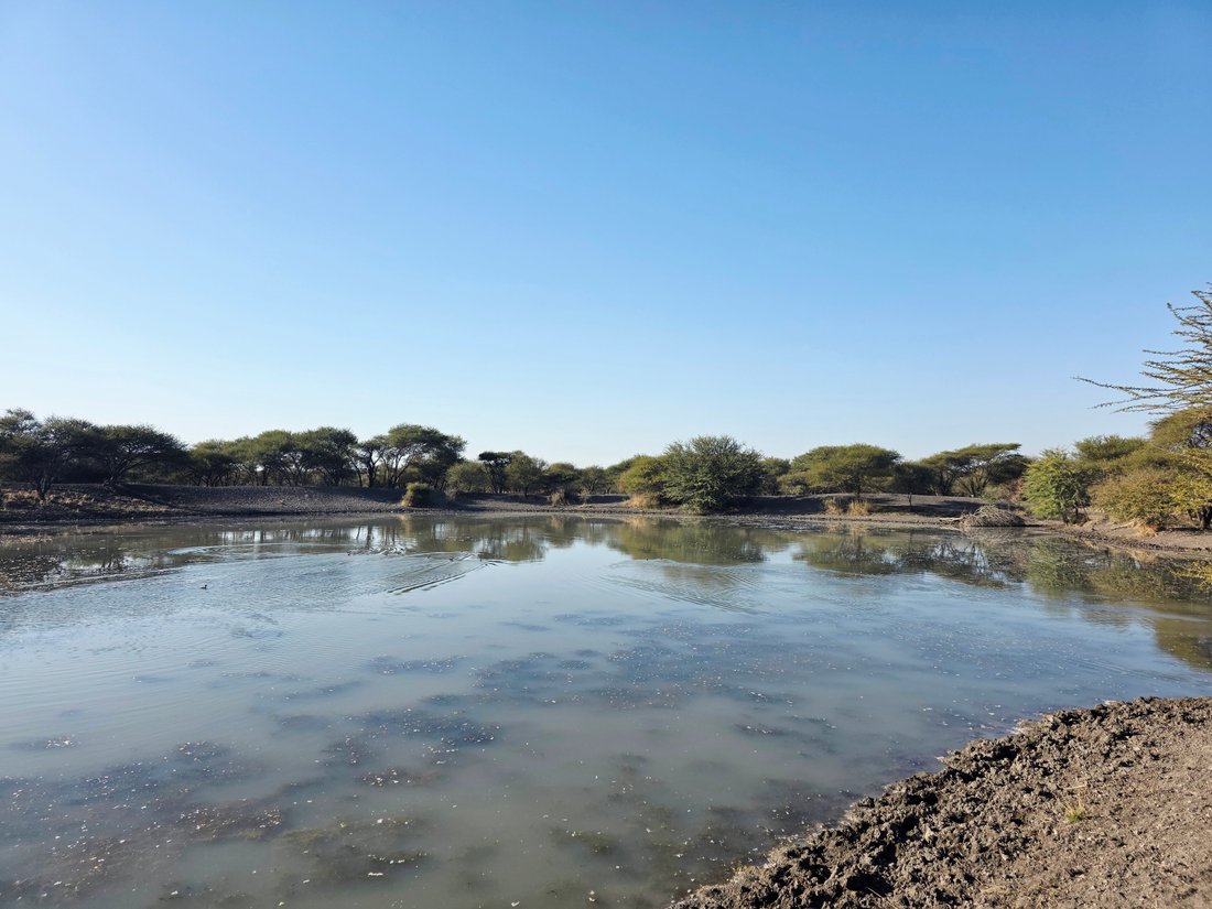 Farm Ranch in Roedtan, Limpopo, South Africa 1 - 15840548