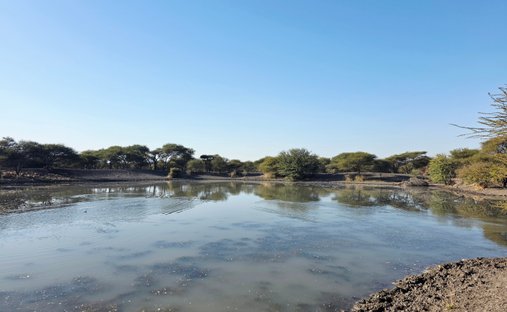 Farm Ranch in Mookgopong, Bosveld, South Africa 1