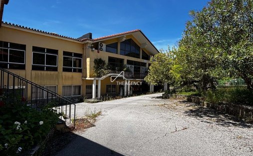 Farm Ranch in Minde, Santarem District, Portugal 1