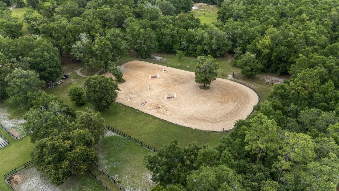 Farm Ranch in Williston, Florida, United States 5 - 15842594