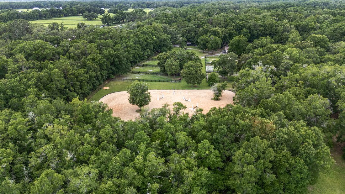 Farm Ranch in Williston, Florida, United States 4 - 15842594