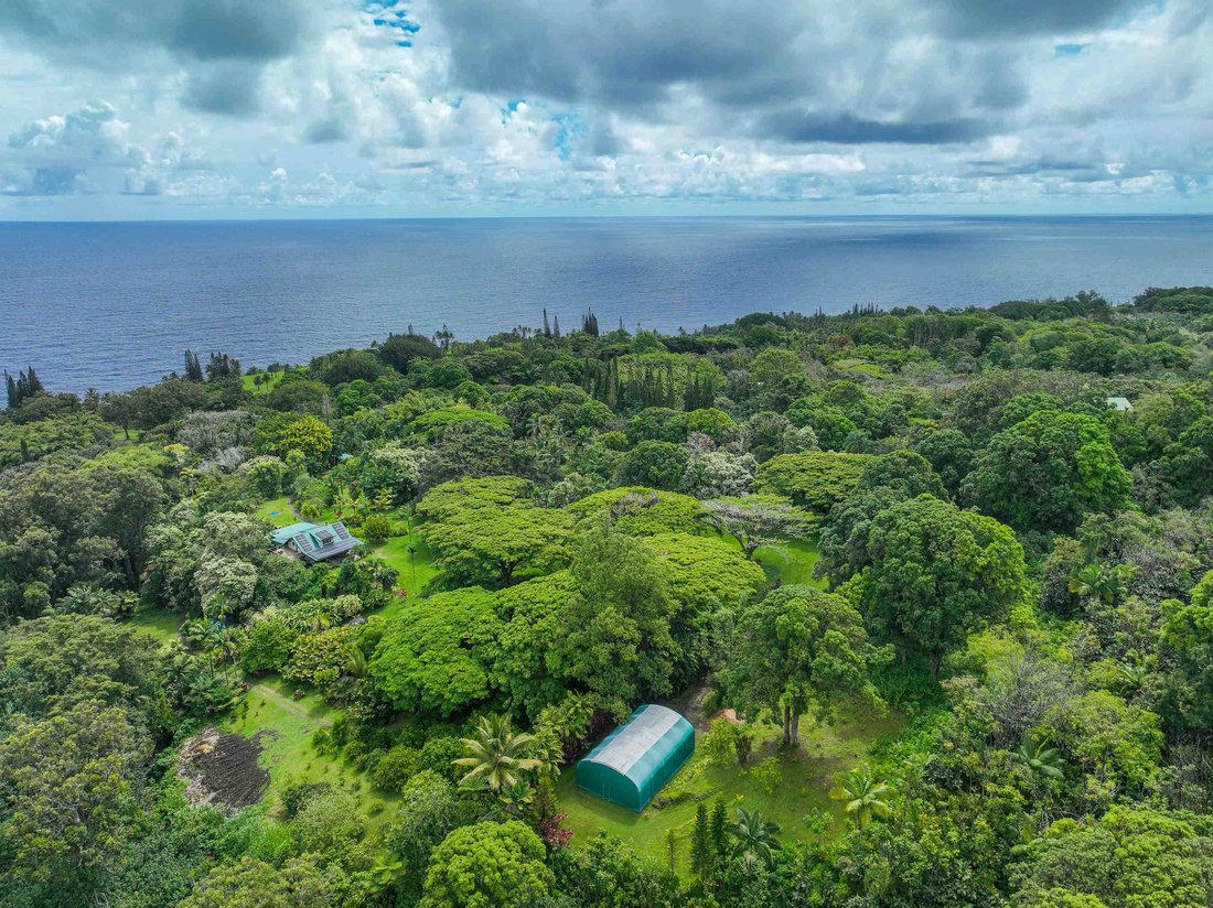 House in Hana, Hawaii, United States 3 - 15842966