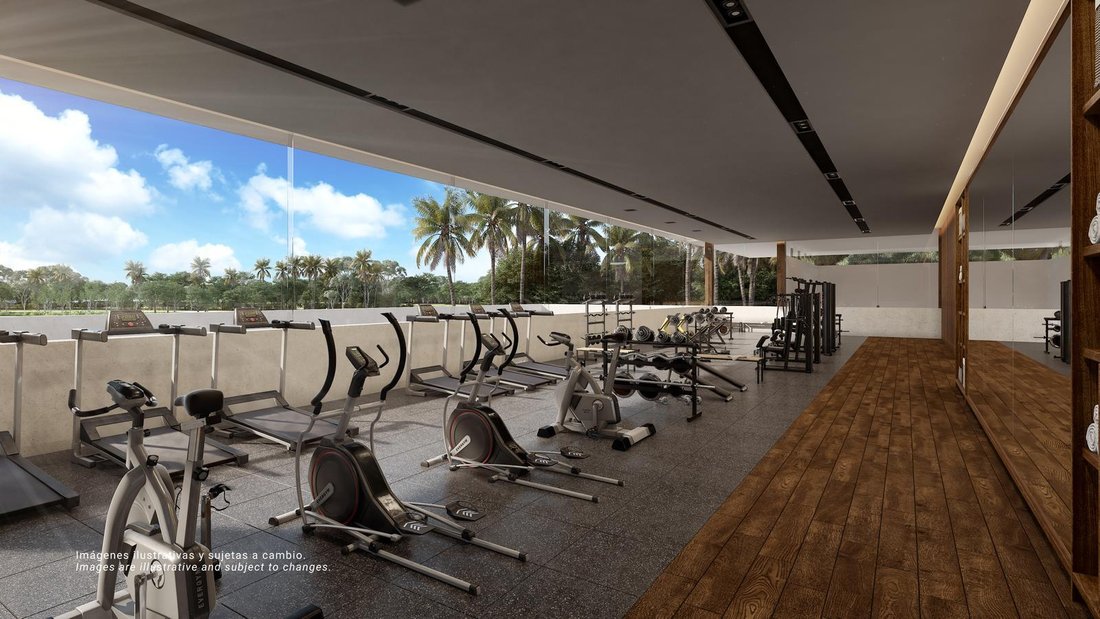 Land in Playa del Carmen, Quintana Roo, Mexiko 4 - 15845049