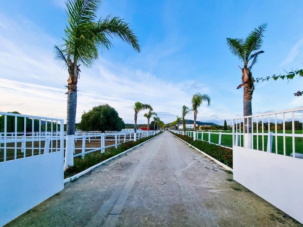 Farm Ranch in Moncarapacho, Algarve, Portugal 2 - 15846874
