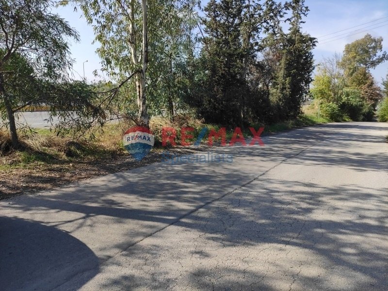 Land in Crete, Greece 5 - 15846214