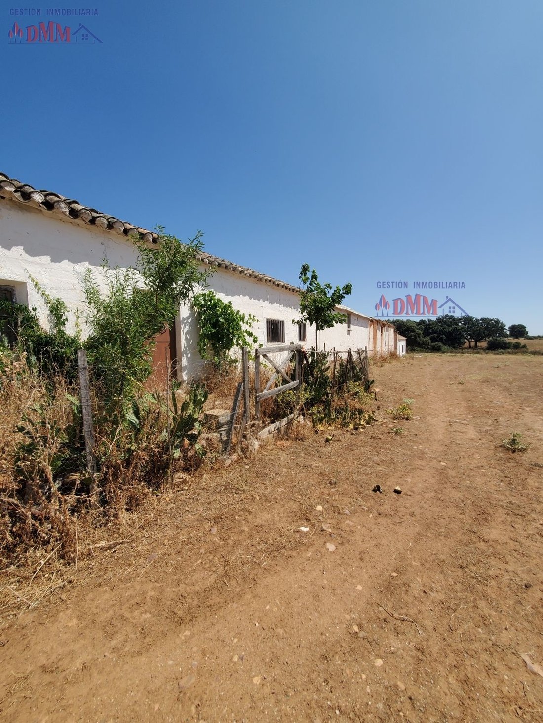 Farm Ranch in Ciudad Real, Castile-La Mancha, Spain 2 - 14811523
