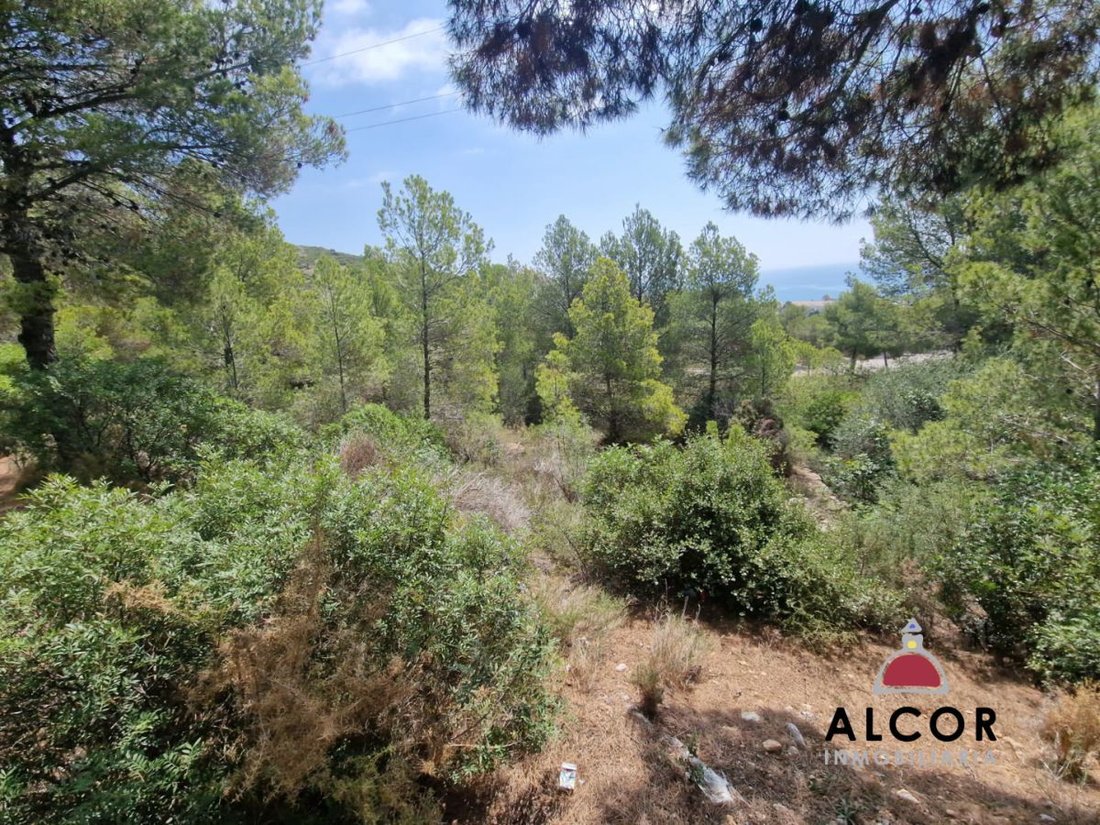 Land in Peniscola / Peniscola, Valencian Community, Spain 1 - 15846323