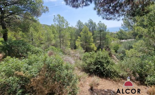 Land in Peniscola / Peniscola, Valencian Community, Spain 1