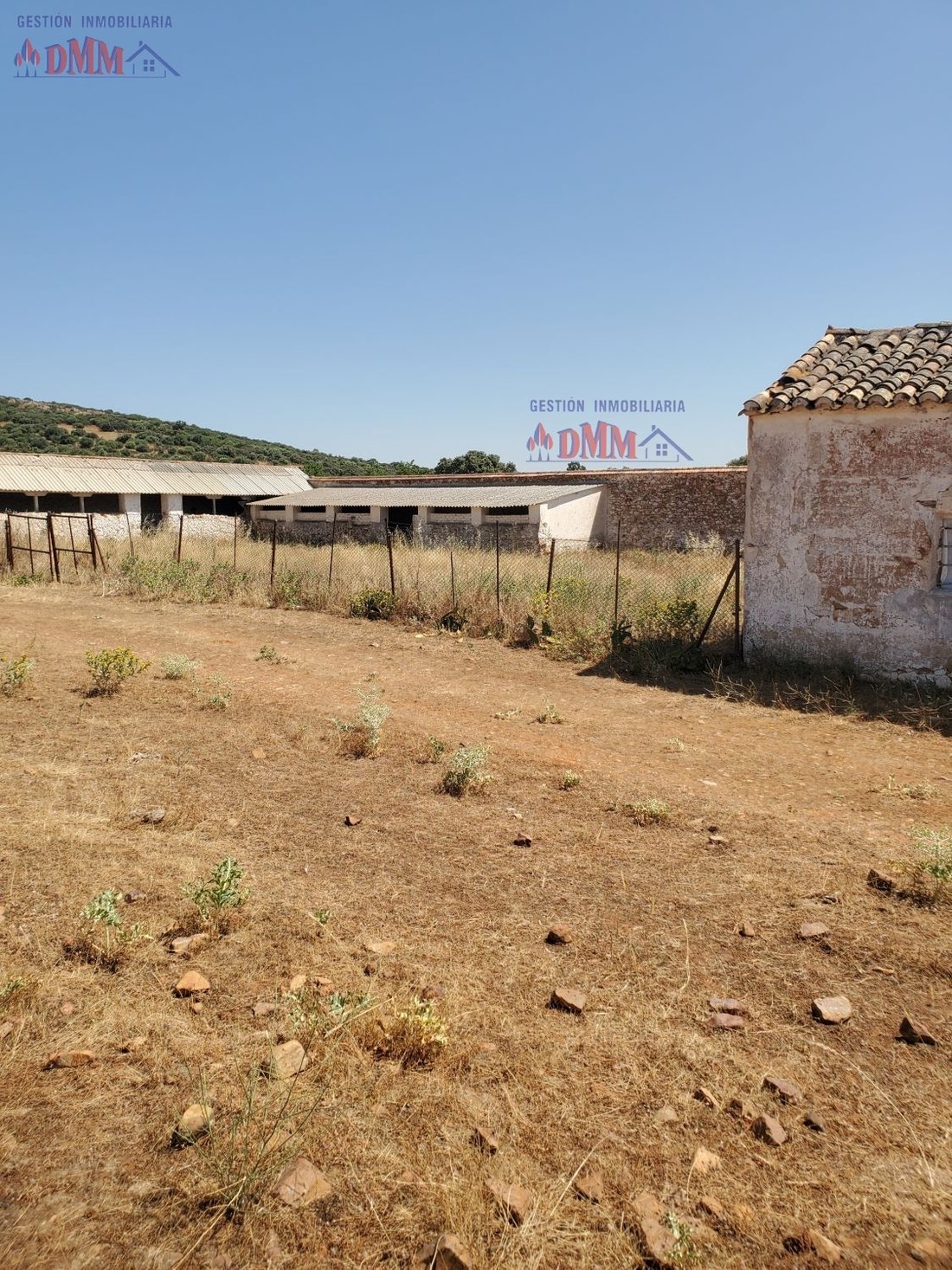 Farm Ranch in Ciudad Real, Castile-La Mancha, Spain 4 - 14811523