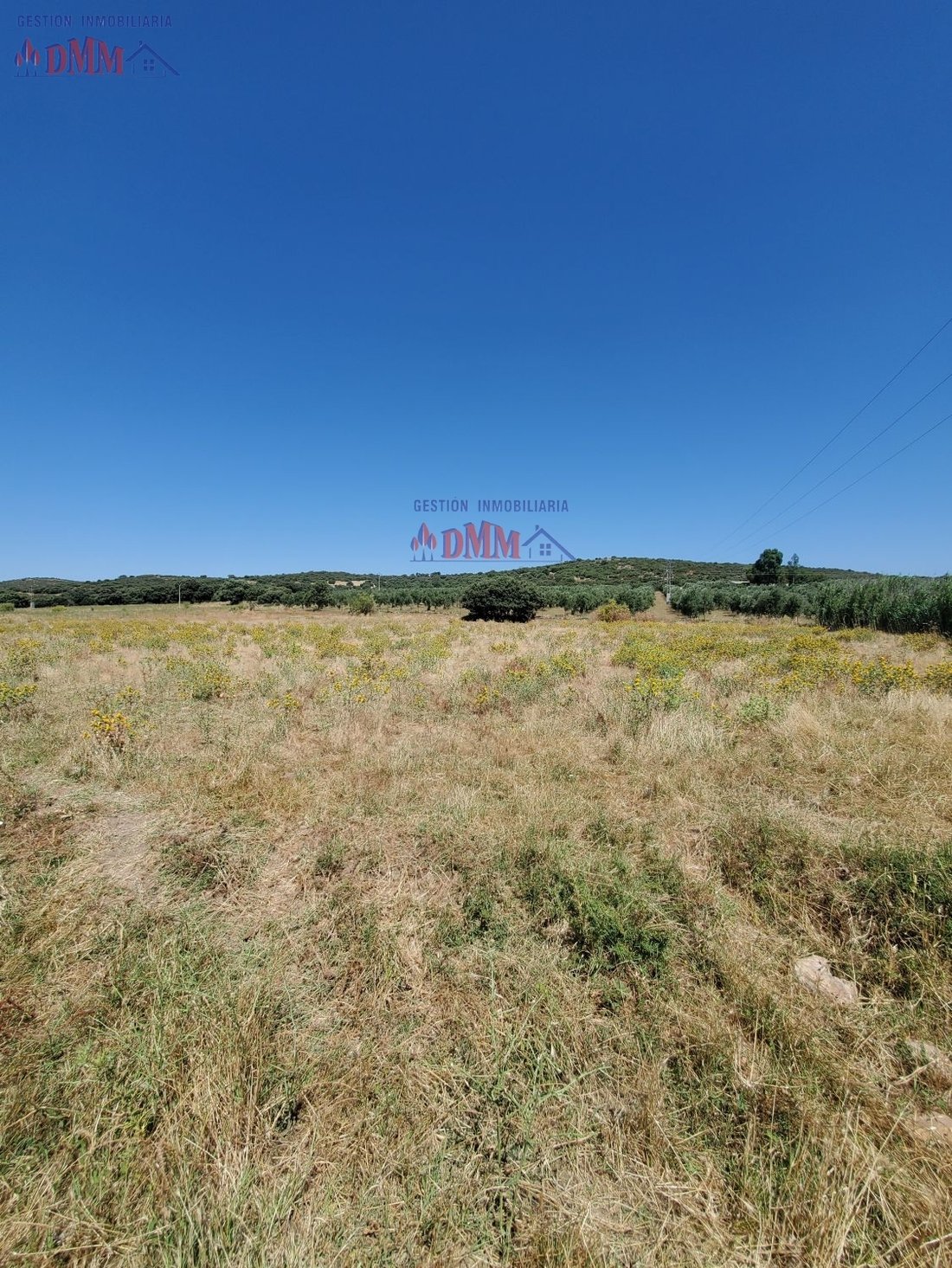 Farm Ranch in Ciudad Real, Castile-La Mancha, Spain 5 - 14811523