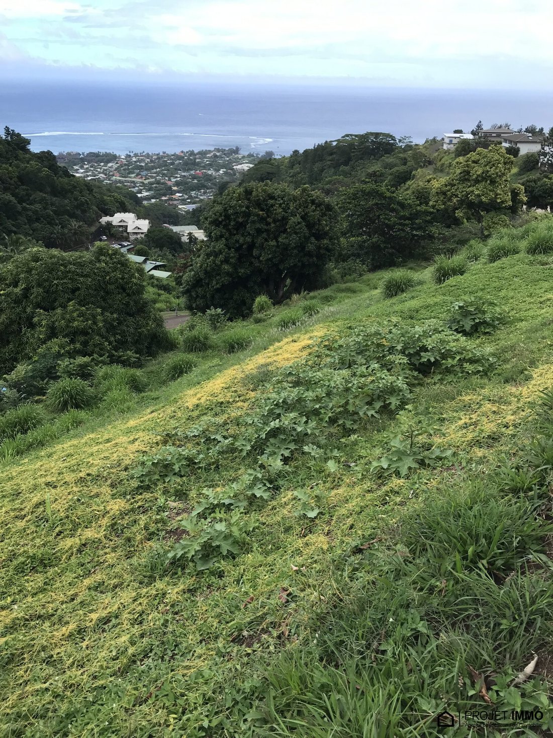 Land in Puna'auia, Windward Islands, French Polynesia 1 - 13547696