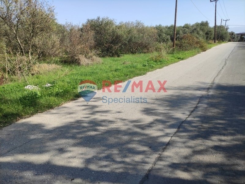 Land in Crete, Greece 4 - 15846214