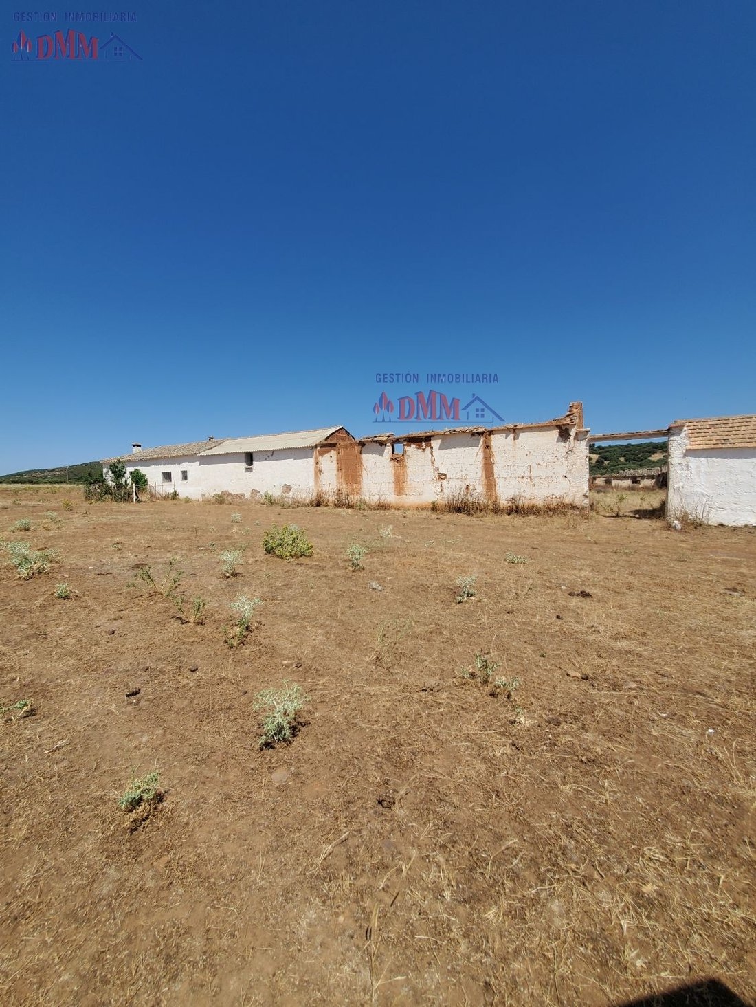 Farm Ranch in Ciudad Real, Castile-La Mancha, Spain 3 - 14811523