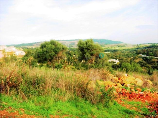 Terreno a Sotogrande, San Roque, Andalusia 1 - 15846411