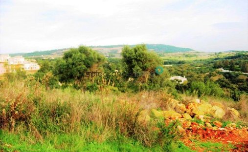 Terreno en Sotogrande, San Roque, Andalucía 1