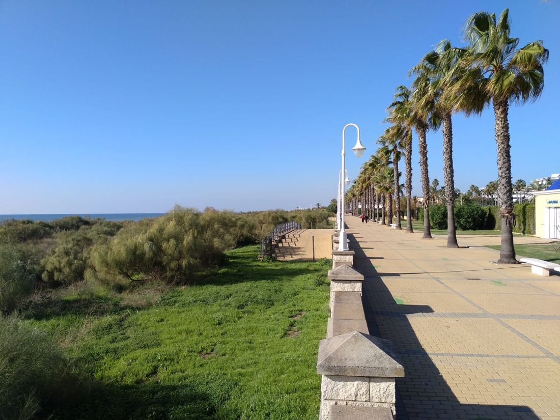 Apartment in Lepe, Andalusia, Spain 5 - 15846651