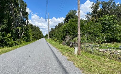Land in Leesburg, Florida, United States 1