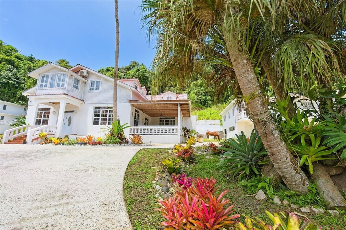 House in ADJUNTAS, PR, United States 3 - 15847118