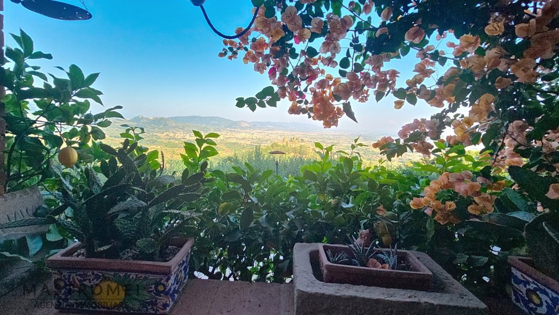 Country House in Borgo a Buggiano, Tuscany, Italy 5 - 15847416