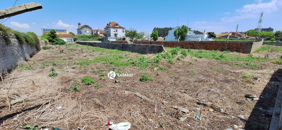 Sao Bernardo, Aveiro District, Portugal 2 - 15850256
