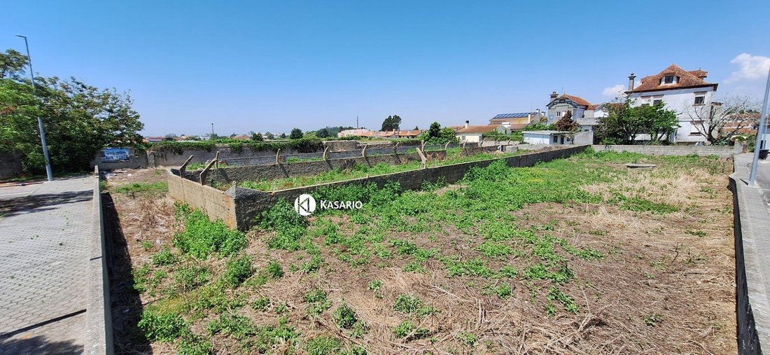 Sao Bernardo, Aveiro District, Portugal 4 - 15850256
