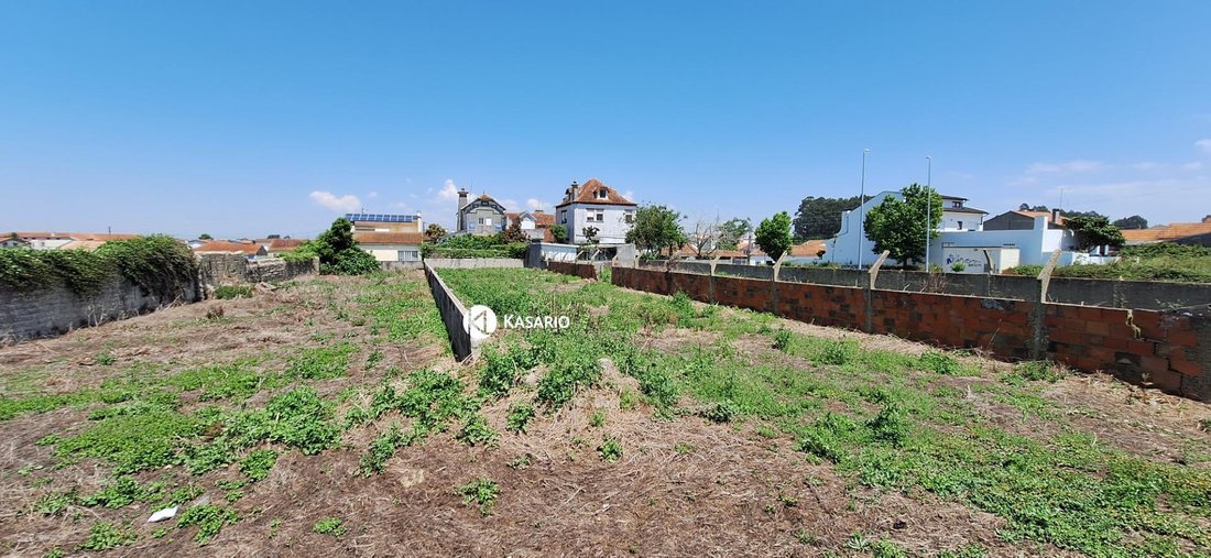 Sao Bernardo, Aveiro District, Portugal 5 - 15850256