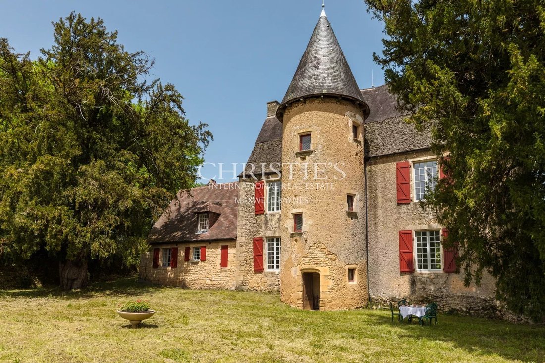 Castle in Le Pontet-La Plane, Sarlat-la-Canéda, France 3 - 15849526