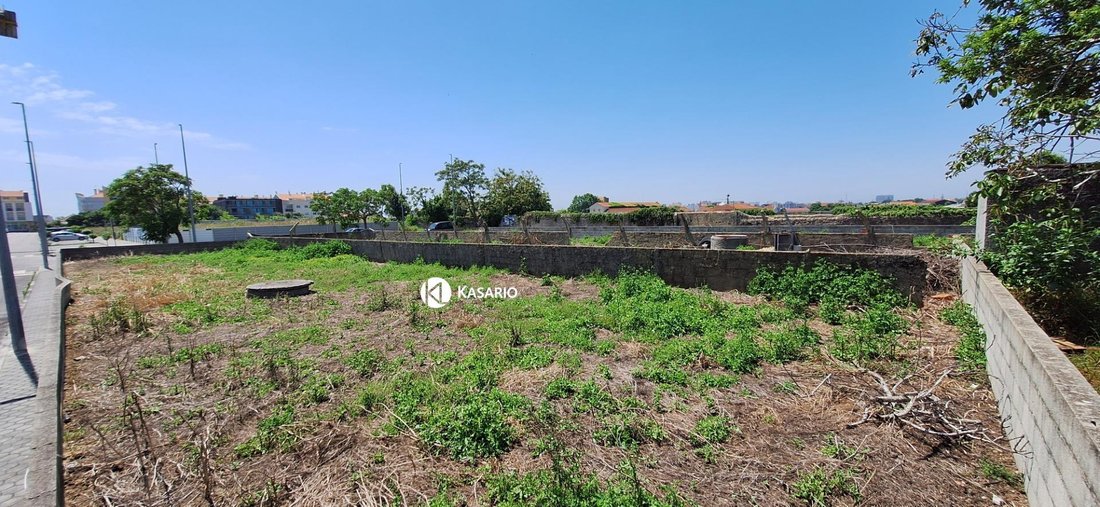 Sao Bernardo, Aveiro District, Portugal 3 - 15850256