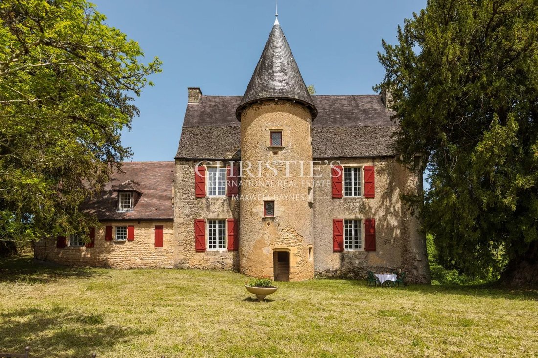 Castle in Le Pontet-La Plane, Sarlat-la-Canéda, France 1 - 15849526
