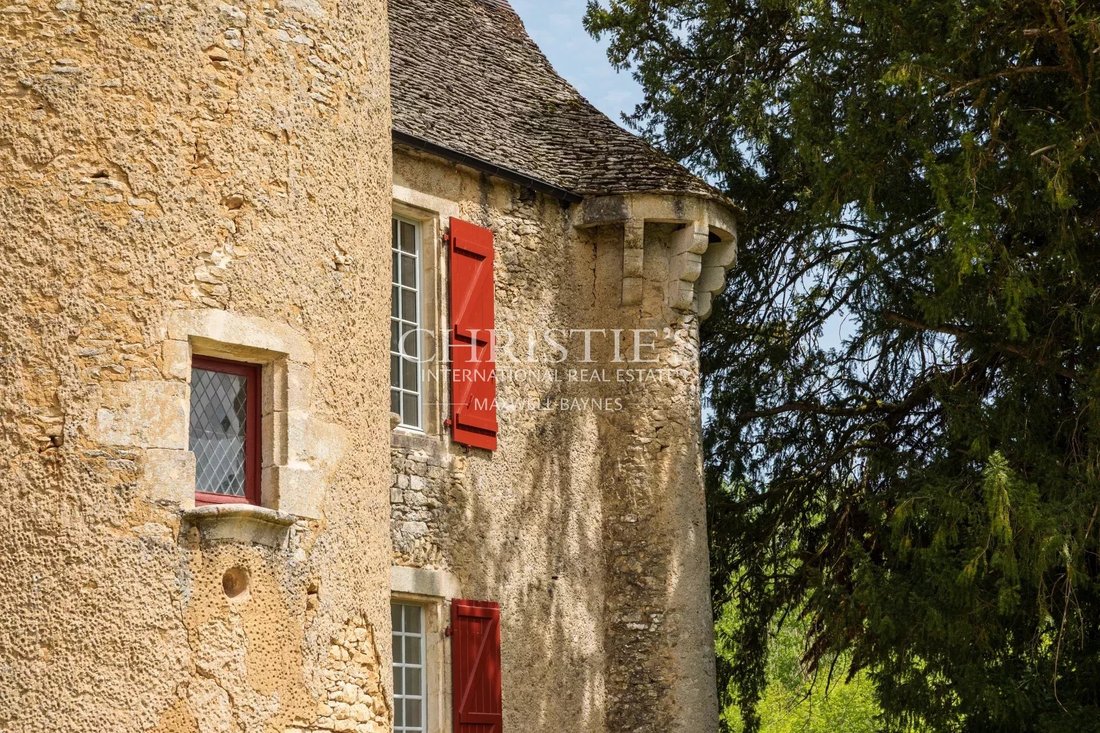 Castle in Le Pontet-La Plane, Sarlat-la-Canéda, France 2 - 15849526