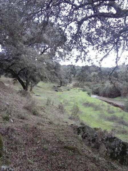 Country House in Aracena, Andalusia, Spain 3 - 15850359