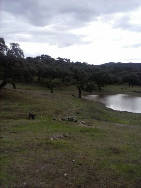 Country House in Aracena, Andalusia, Spain 4 - 15850359